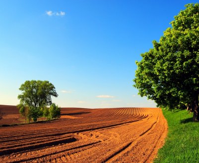 Тернопільська компанія повернула в сельхозобработку понад 500 гектарів занедбаних земель 