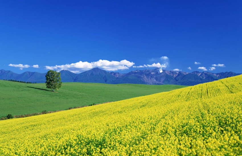 Кримські поля будуть поливати «рідким повітрям»