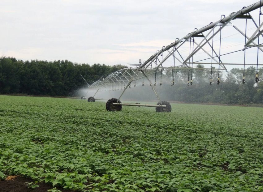 Системи зрошення в Миколаївській області вимагають термінового відновлення