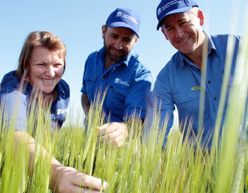 В Україні пройдуть американські курси підвищення кваліфікації для агрономів