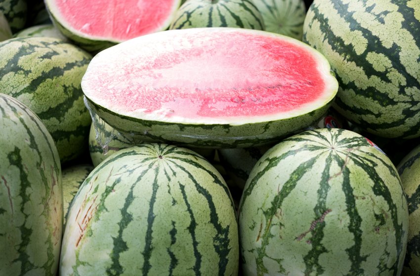 Херсонські аграрії в передчутті високої врожайності арбузов