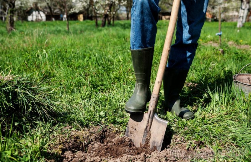 Перекопування грунту Перекопування грунту