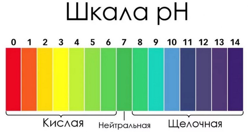 Шкала кислотності грунту