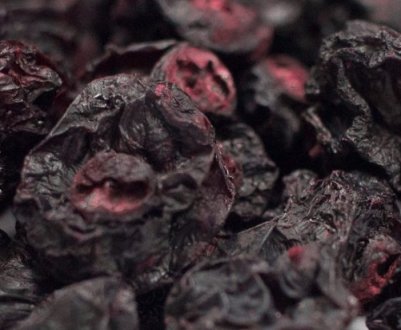 Як засушити чорну смородину