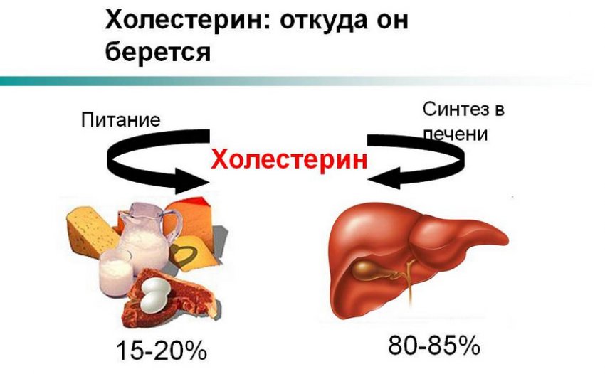 Холестерин