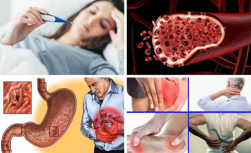 Показання до застосування листя лохини