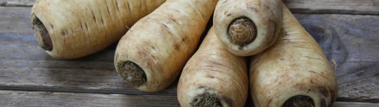 Пастернак: користь і шкода білого кореня