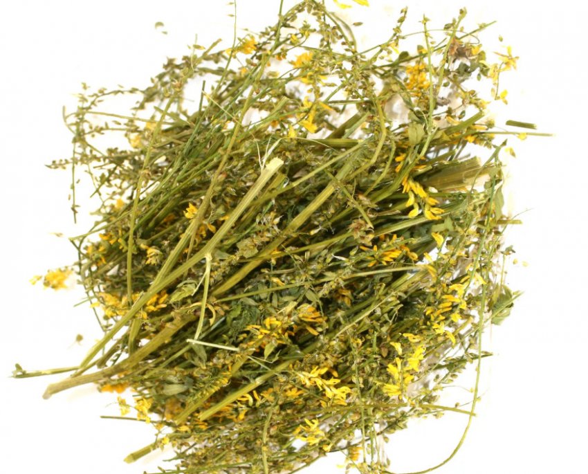 Лікарську сировину з буркуну Лікарську сировину з буркуну