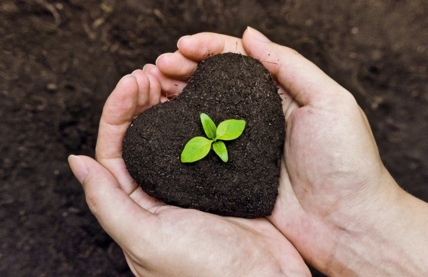 Нові ЗЗР в Україні пройдуть державну реєстрацію