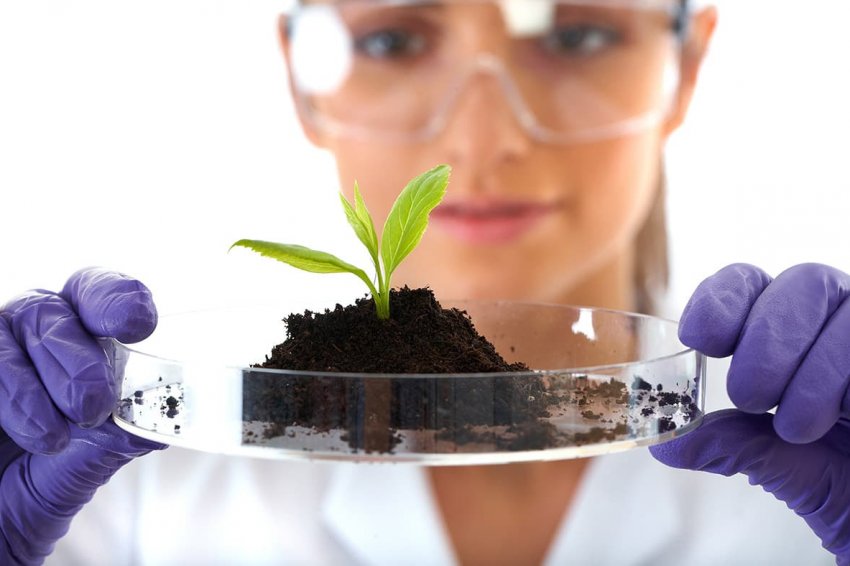 Нові ЗЗР в Україні пройдуть державну реєстрацію