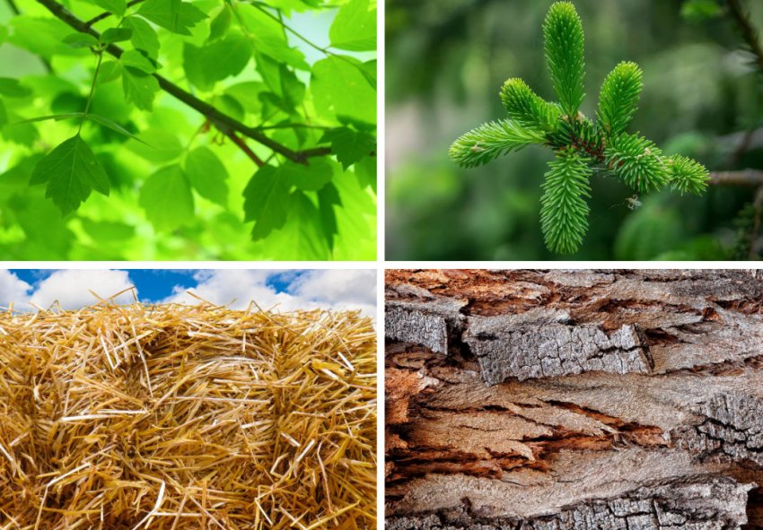 Сухі та грубі корми для нутрій Сухі та грубі корми для нутрій