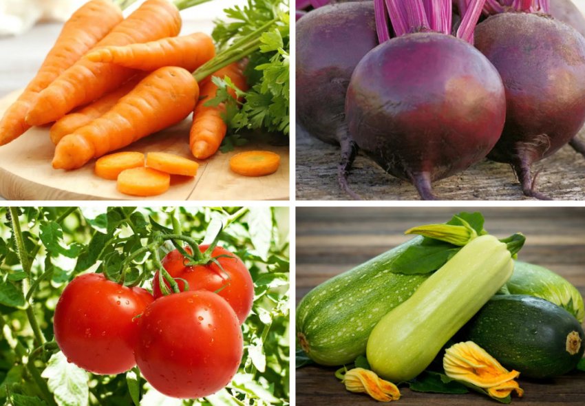 Овочі та фрукти для нутрій Овочі та фрукти для нутрій