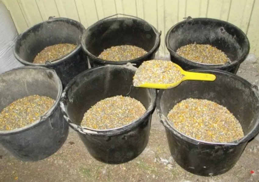 Сухе годування Сухе годування