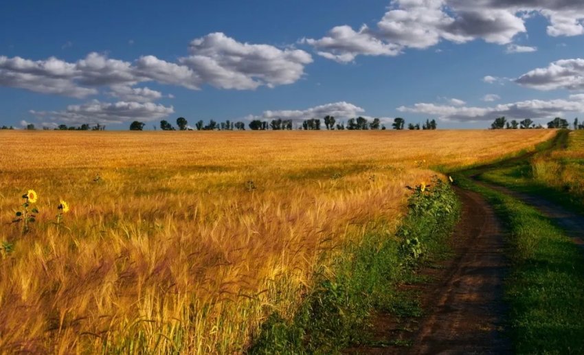 У Великобританії відкрито другий раунд схеми малих грантів У Великобританії відкрито другий раунд схеми малих грантів