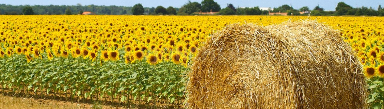 У Великобританії відкрито другий раунд схеми малих грантів