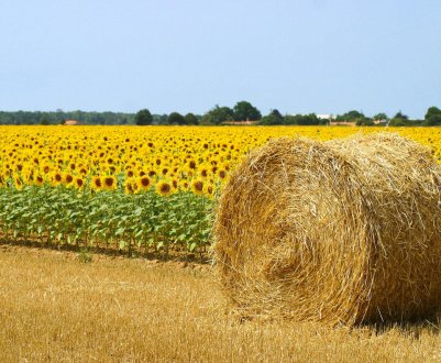 У Великобританії відкрито другий раунд схеми малих грантів