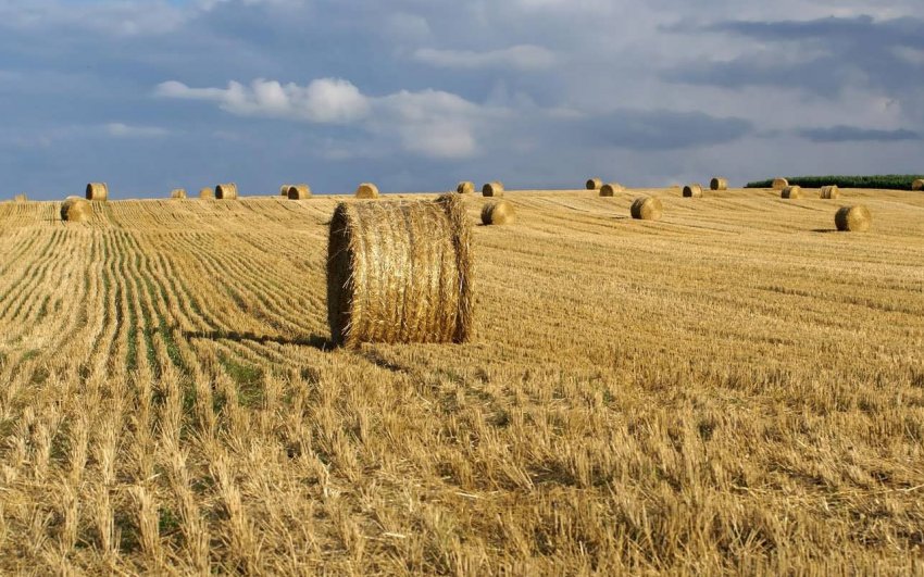 IFA посилює протидію угоді з Mercosur