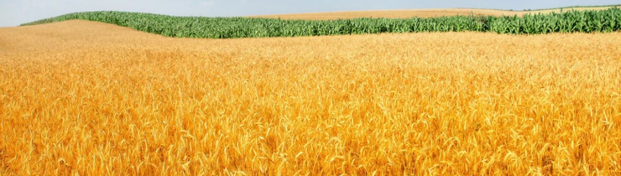 IFA посилює протидію угоді з Mercosur