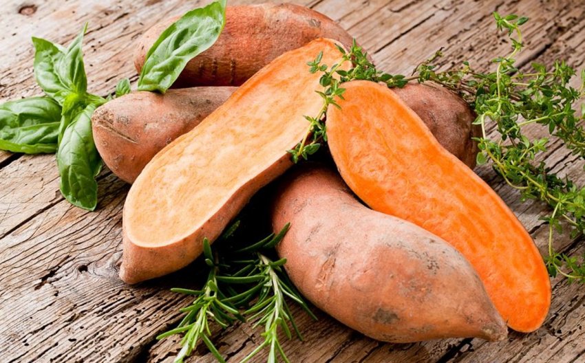 Канадські селекціонери створили батат «для своїх»