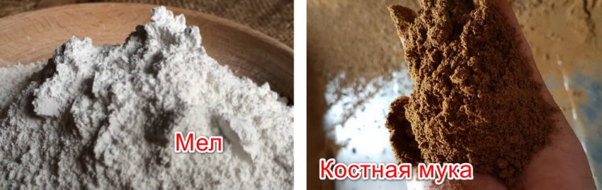 Вітаміни та мінерали Вітаміни та мінерали