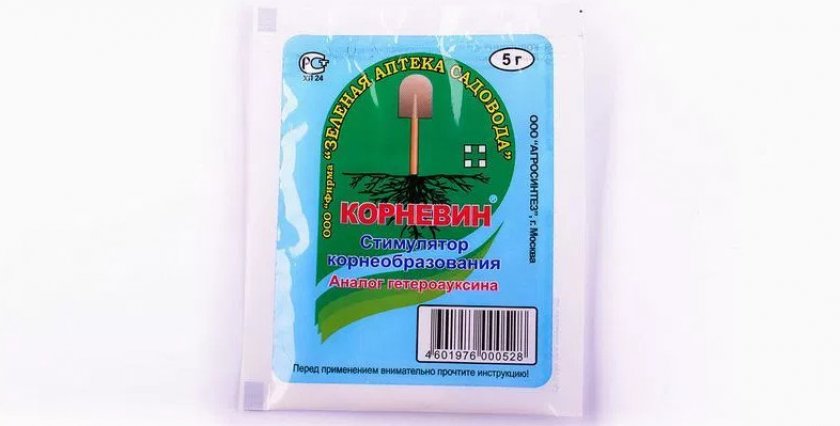 Корневин Корневин
