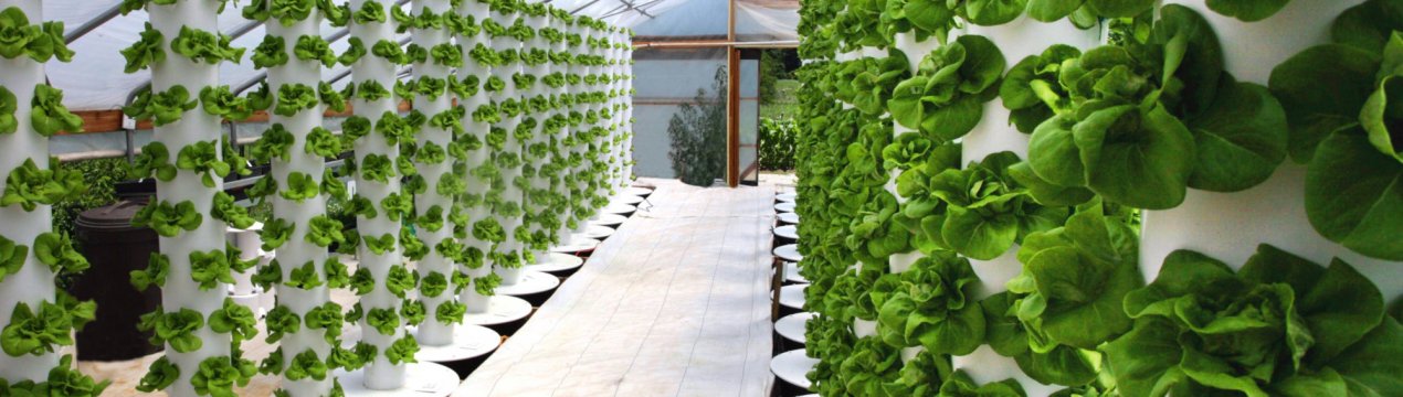 Турецькі теплиці переходять у «вертикальний режим»