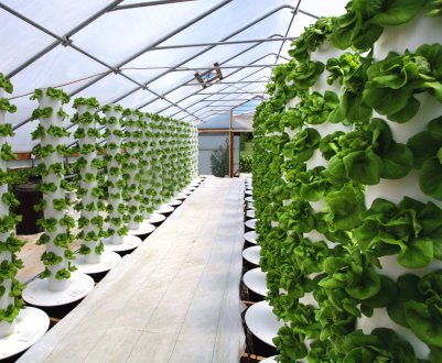 Турецькі теплиці переходять у «вертикальний режим»