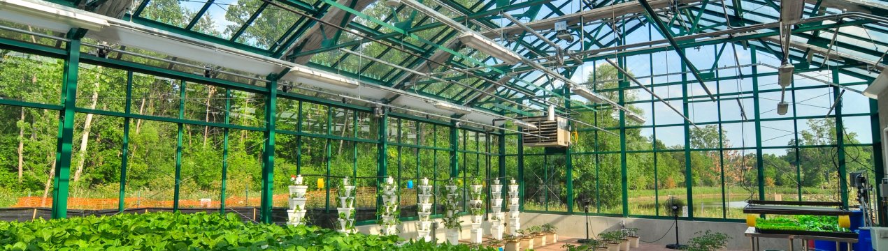 Американці розробили теплиці, яким не страшні шторми і тайфуни