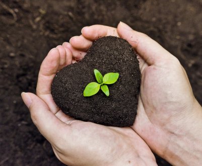 У США розкрили секрет ґрунтового «імунітету»