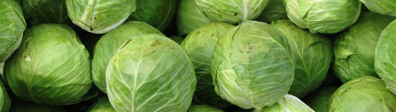 На російському ринку дорожчає капуста