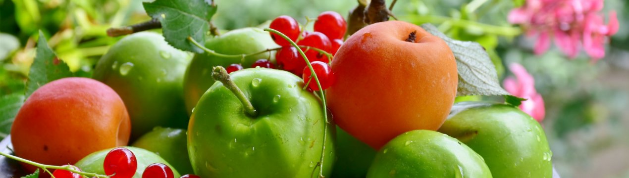 Кубань потопає в ягодах і фруктах