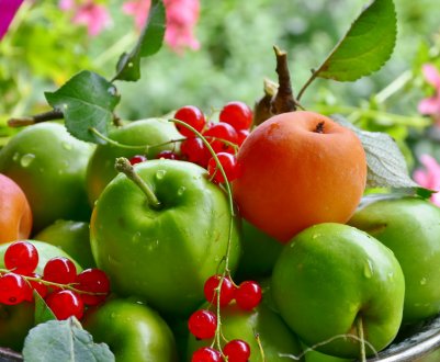 Кубань потопає в ягодах і фруктах