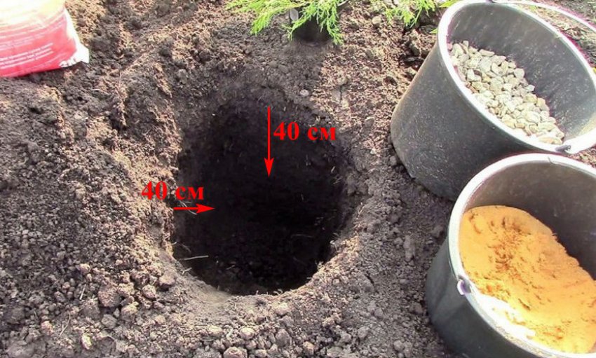 Лунка для посадки