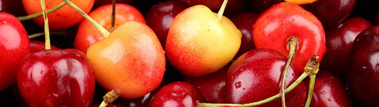 Запорізька компанія експортувала понад 600 тонн черешні