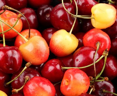 Запорізька компанія експортувала понад 600 тонн черешні