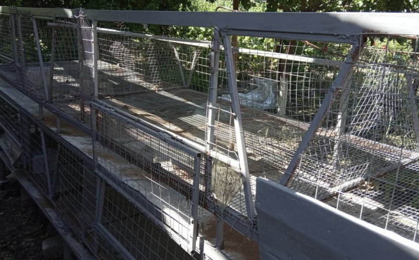 Клітка для нутрій Клітка для нутрій