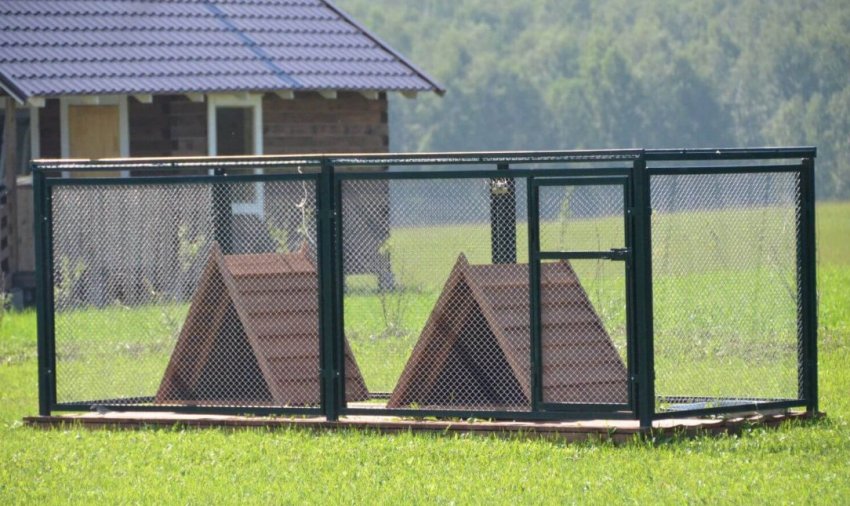 Вольєр для нутрій Вольєр для нутрій