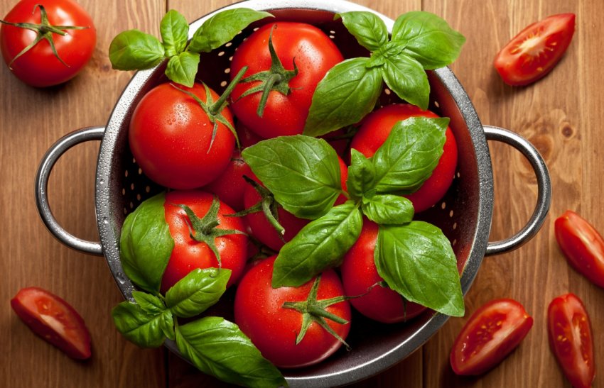 Компанія «Agrofusion» завершила збір урожаю зернових з відмінним результатом Компанія «Agrofusion» завершила збір урожаю зернових з відмінним результатом