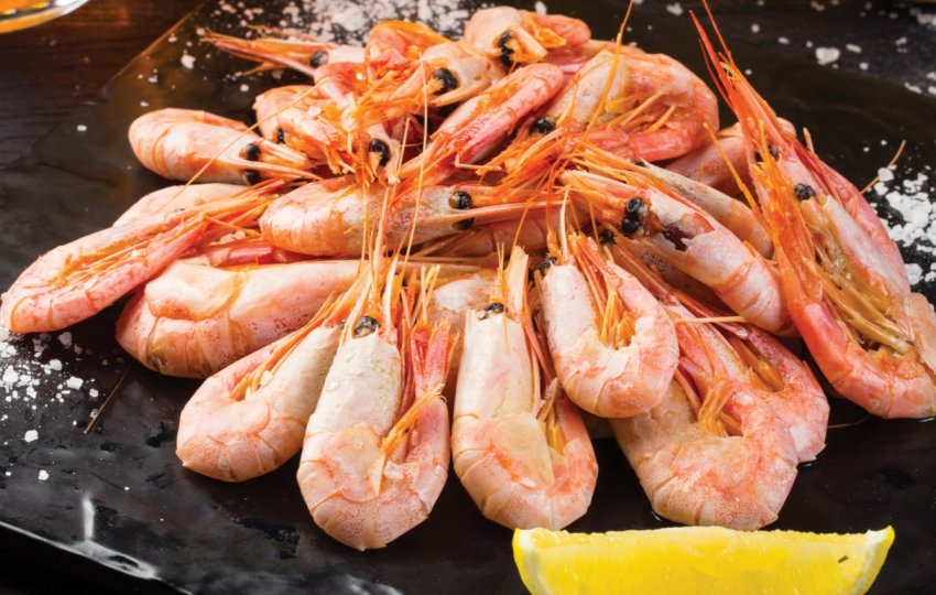 Жмеринські фермери вирощують креветок для ресторанів і гурманів