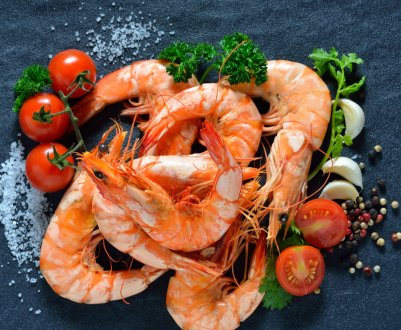 Жмеринські фермери вирощують креветок для ресторанів і гурманів