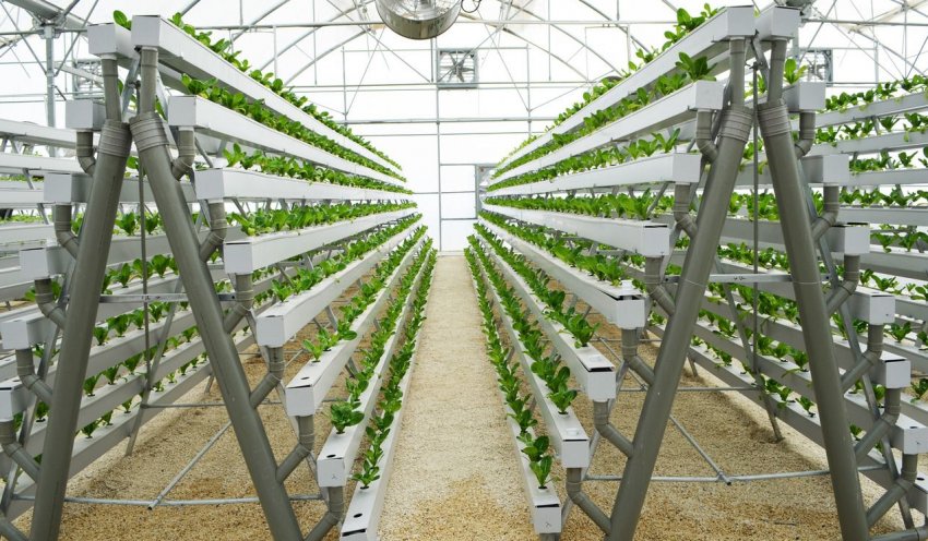 Турецькі теплиці переходять у «вертикальний режим» Турецькі теплиці переходять у «вертикальний режим»