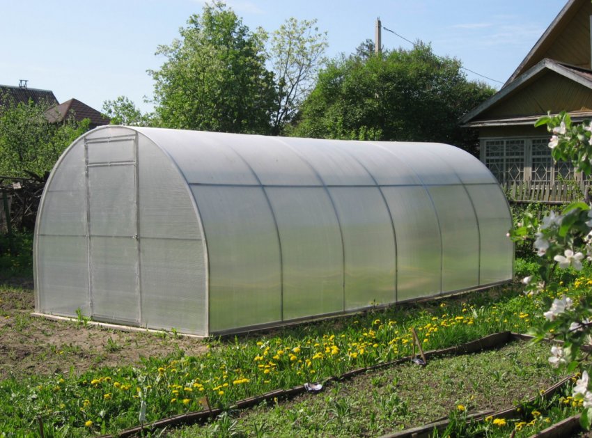 Американці розробили теплиці, яким не страшні шторми і тайфуни