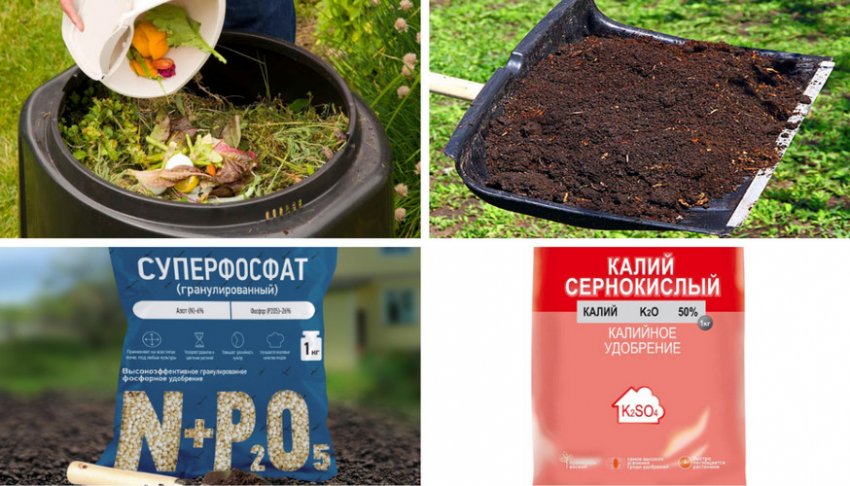 Підготовка ділянки до посадки Підготовка ділянки до посадки