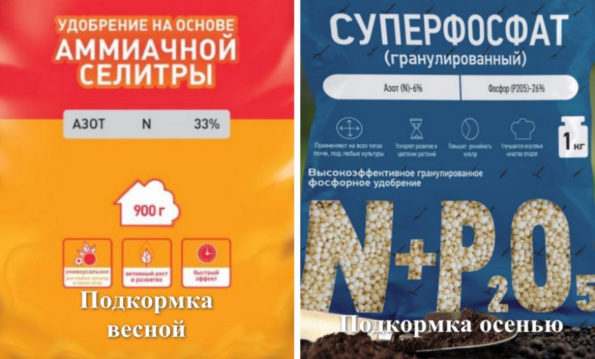 Підживлення кущів Підживлення кущів