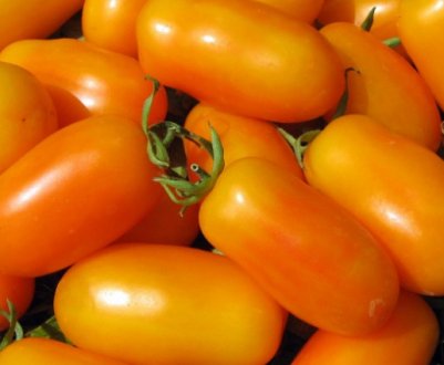 Томат Бананові ноги опис сорту - особливості вирощування та догляду