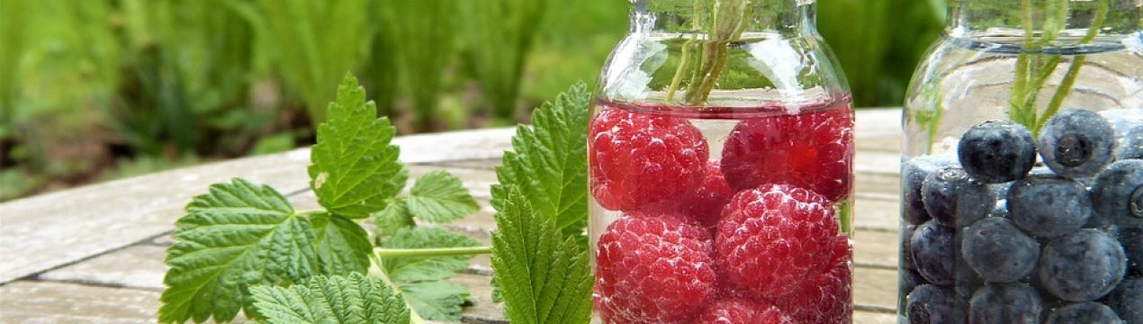 Чудесне перетворення звалища в ягідник справив черкаський фермер