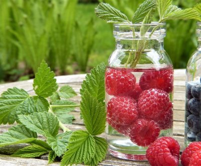 Чудесне перетворення звалища в ягідник справив черкаський фермер