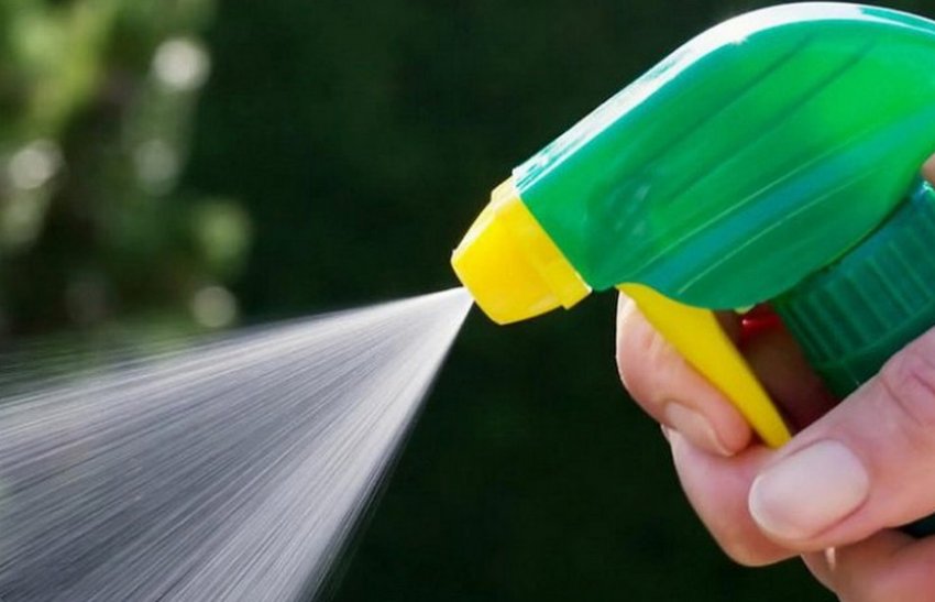 Обробка фунгіцидами