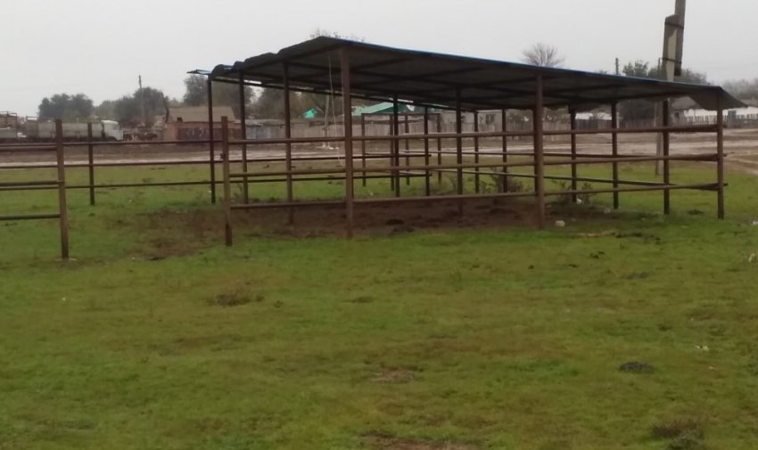 Літній загін для корів Літній загін для корів