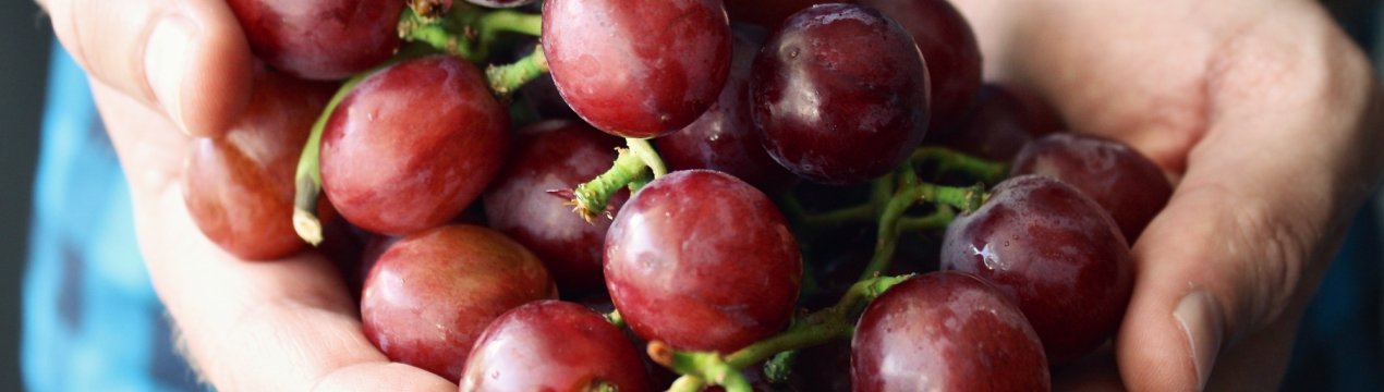 Японський гурман витратив на покупку виноградної грона більше одинадцяти тисяч доларів